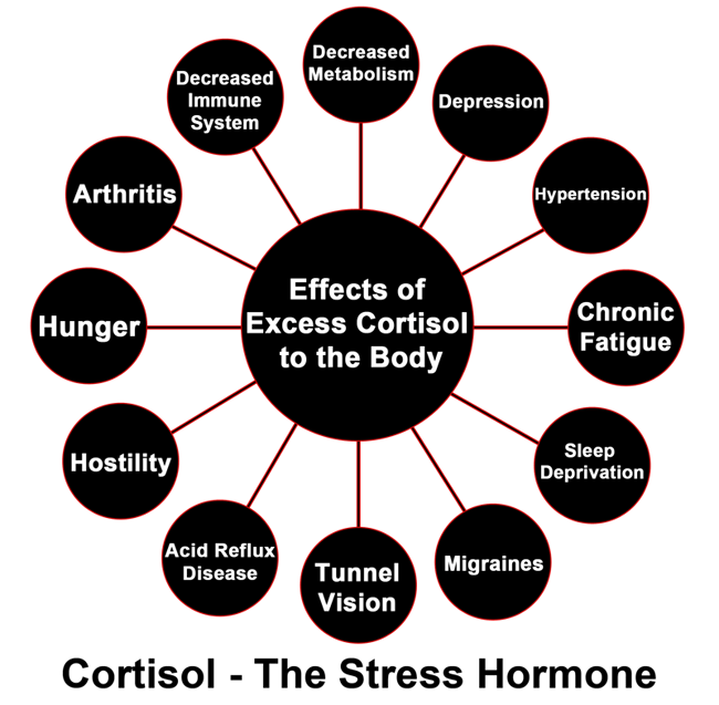 cortisol